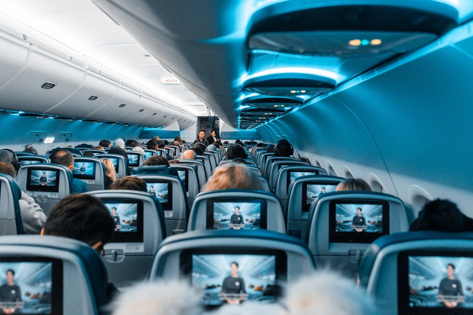 The Role of Cabin Crew